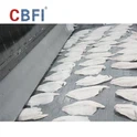 750kg/h チェーン プレート トンネル冷凍庫 - インドネシア産魚切り身の輸出-高品質急速冷凍-の基礎