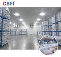 CBFI 東南アジア向け大型水産物冷蔵ソリューション: 熱帯気候における優れた保存への道