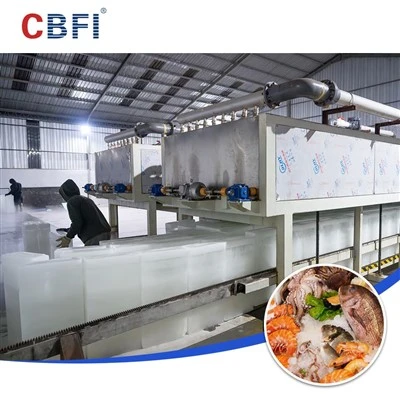 CBFI 30 T/D 直接冷却アイスブロックプラント